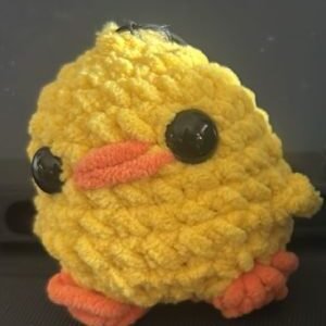 pollito